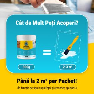 Alternative view of RHINOFIX Wateraegis – Etanșant transparent impermeabil pentru orice suprafață (disponibil în mai multe dimensiuni)