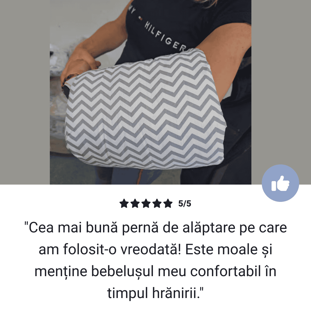 PERNĂ PENTRU ALĂPTARE SNUGMUNCH™ - imagine 6