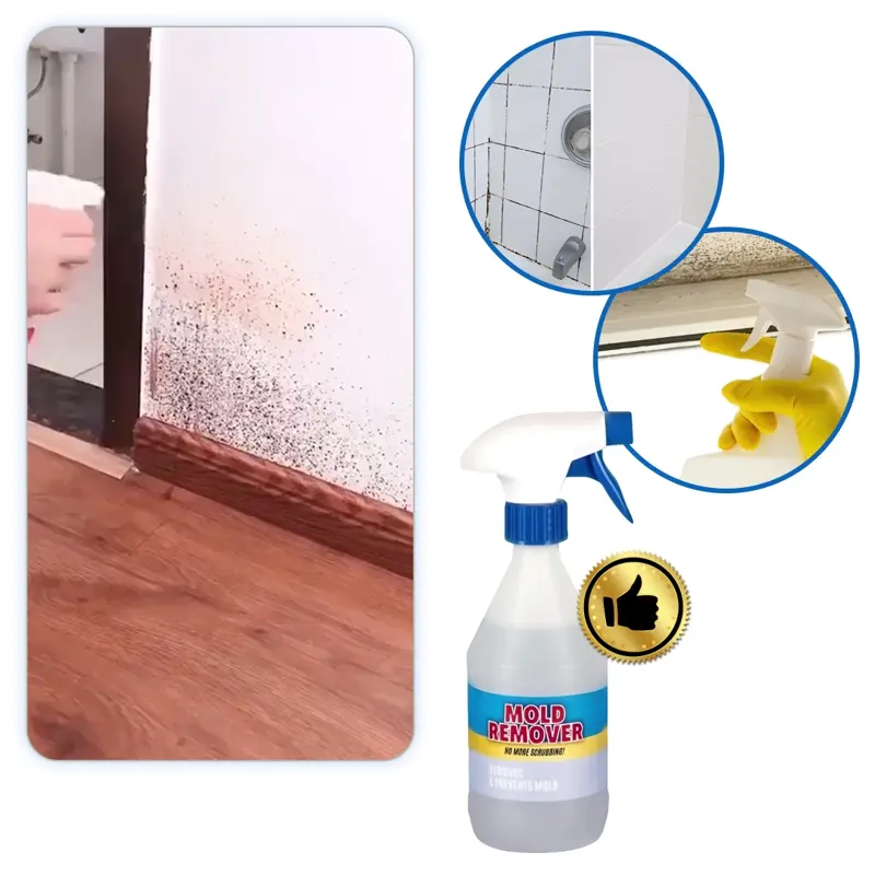 Moldguard – Spray pentru îndepărtarea mucegaiului și eliminarea permanentă a mucegaiului din locuință