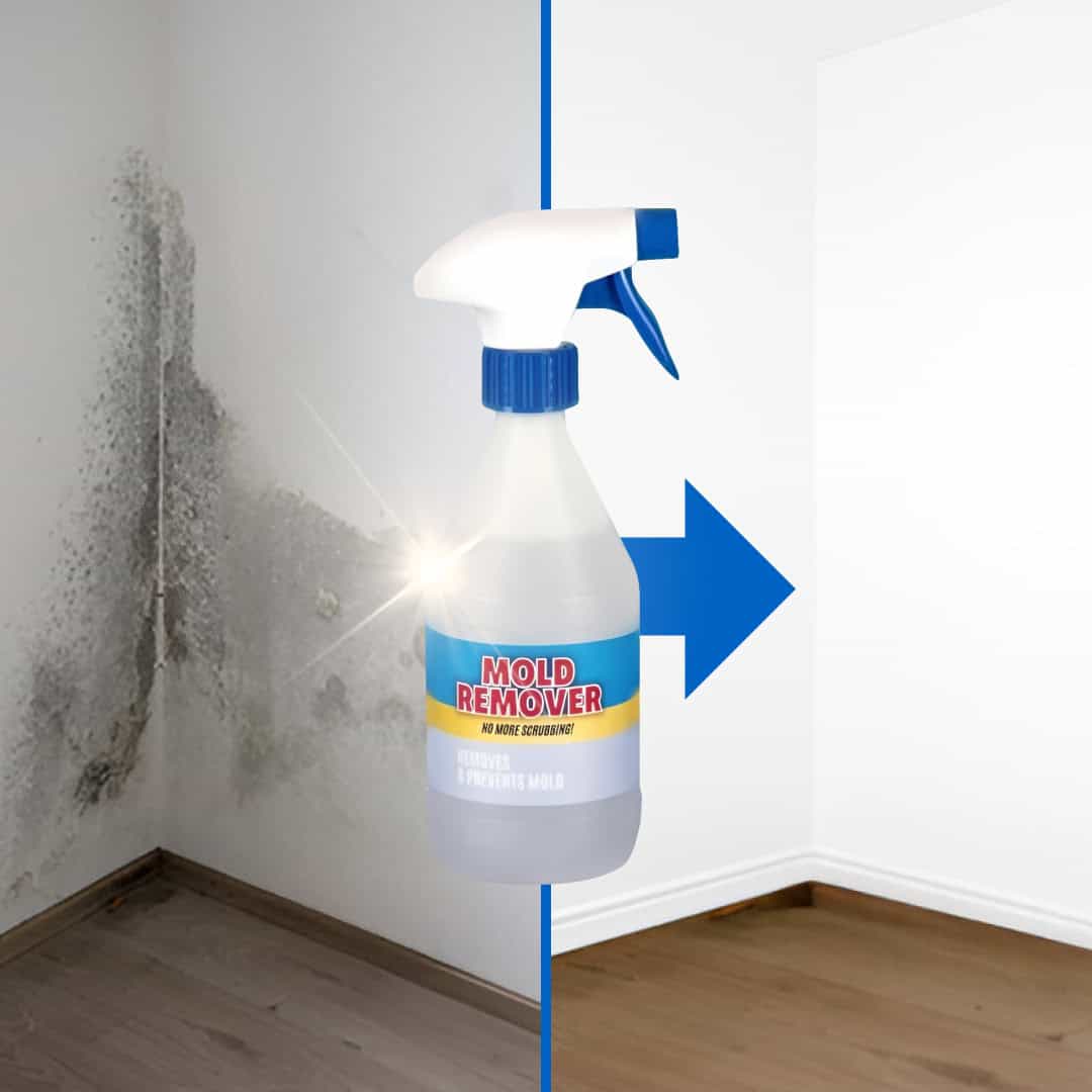 Moldguard – Spray pentru îndepărtarea mucegaiului și eliminarea permanentă a mucegaiului din locuință - imagine 3