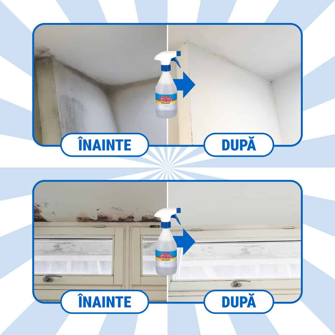 Moldguard – Spray pentru îndepărtarea mucegaiului și eliminarea permanentă a mucegaiului din locuință - imagine 6