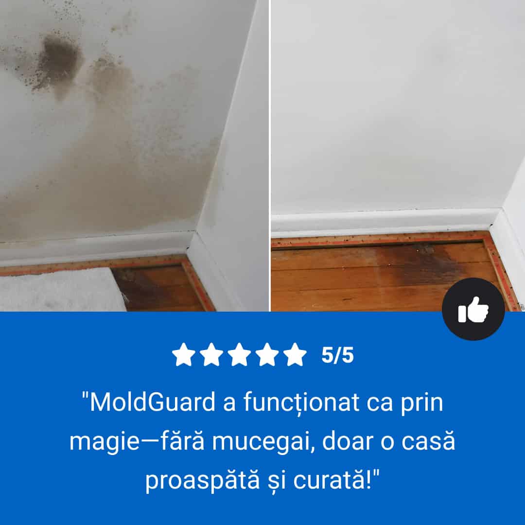 Moldguard – Spray pentru îndepărtarea mucegaiului și eliminarea permanentă a mucegaiului din locuință - imagine 8
