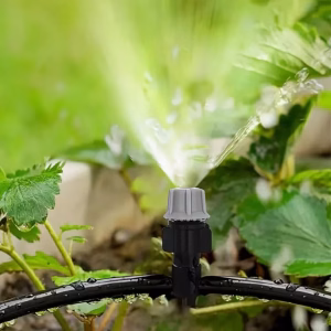 Waterem - Sistem de irigare pentru plante